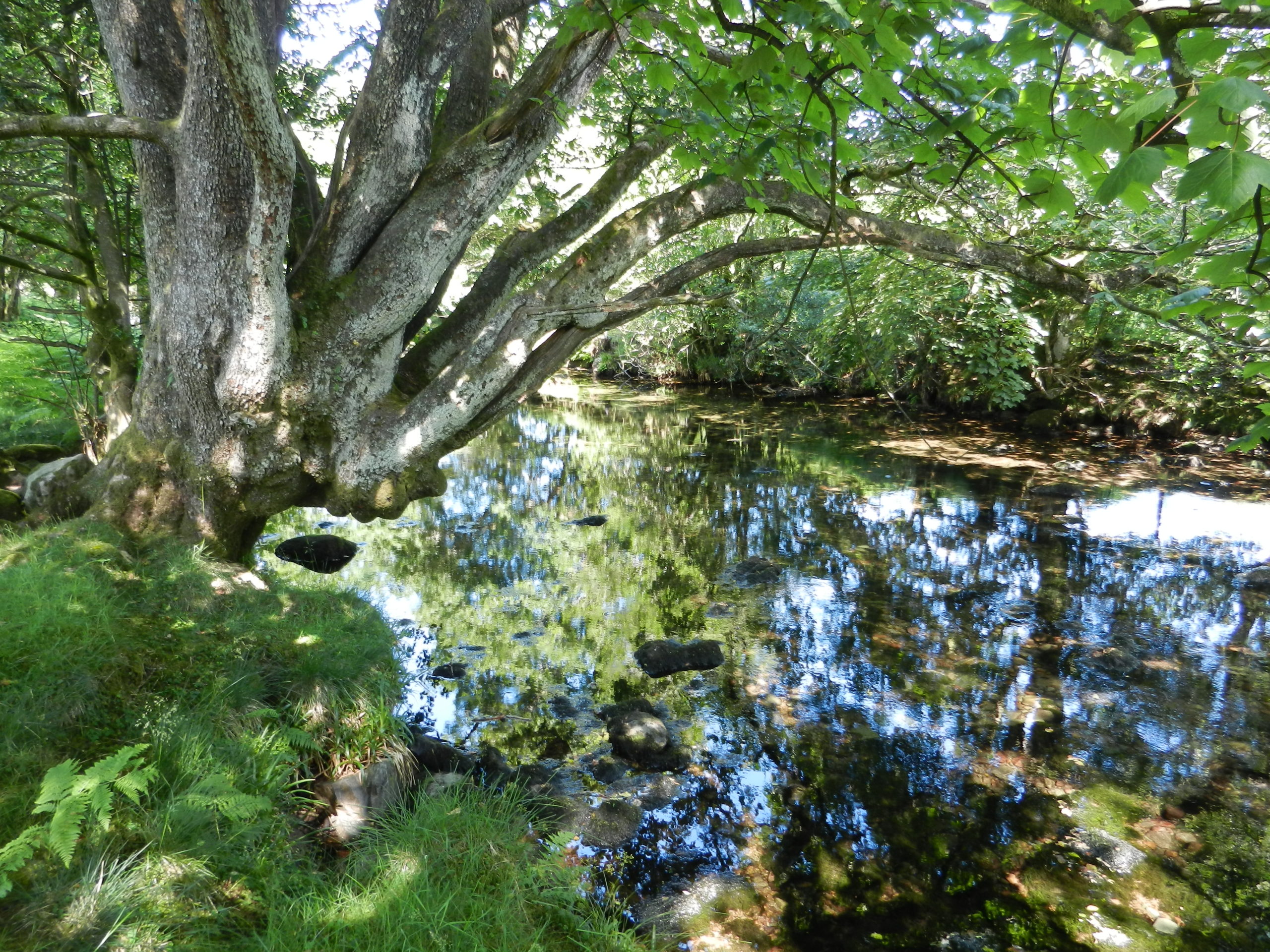 Peaceful stream, Lake District